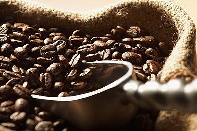 《一起来造动物园》“恐龙岛”DLC发售 大型免费更新同步上线