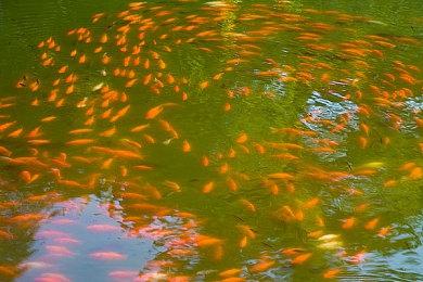 白金工作室正致力于改善《巴比伦的陨落》图形质量